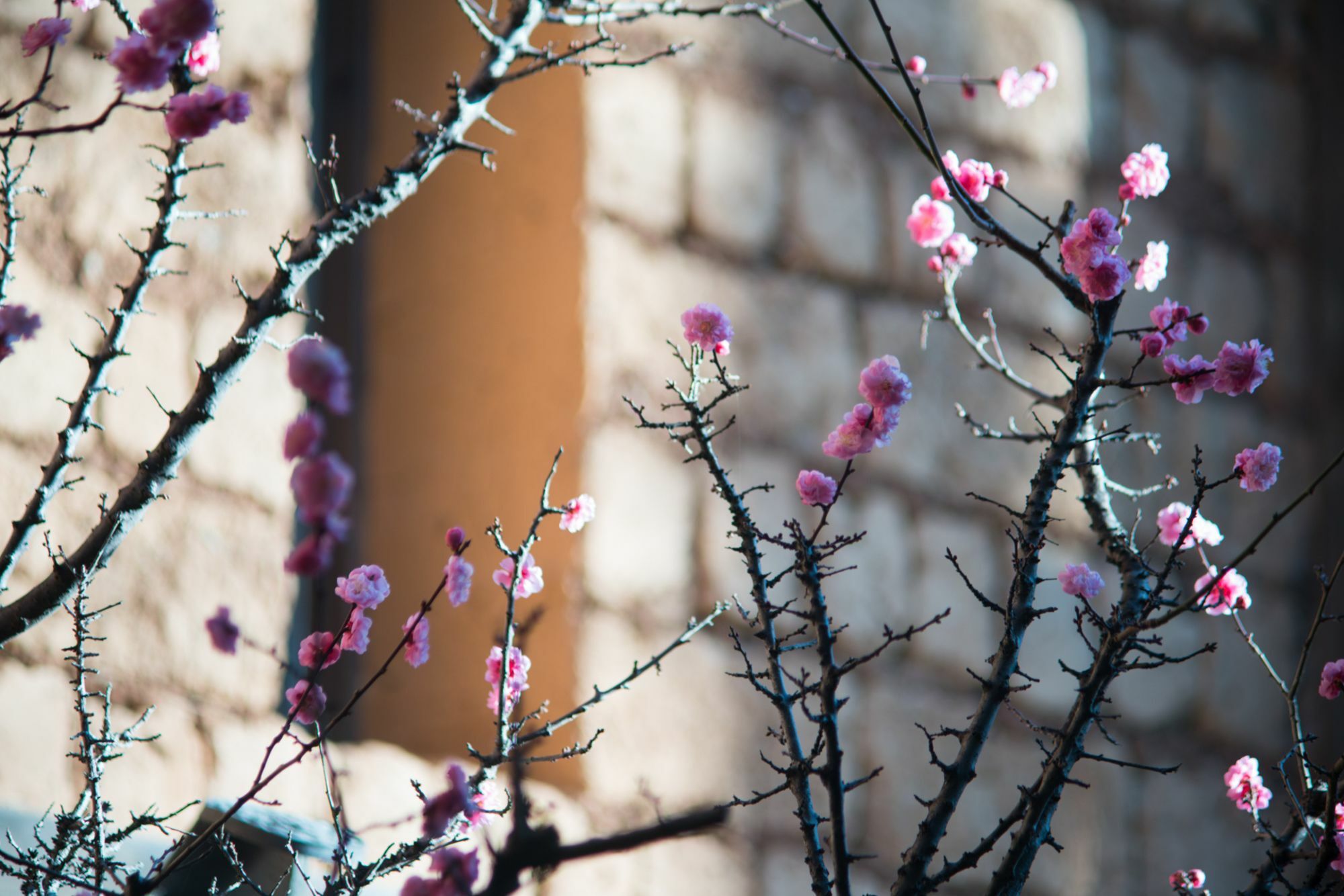 Lijiang Trustay Heartisan Boutique Hotel & Resort エクステリア 写真